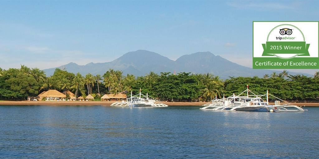 内格罗斯岛酒店住宿-Pura Vida Beach & Dive Resort