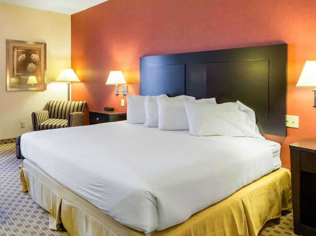 Quality Inn & Suites主图