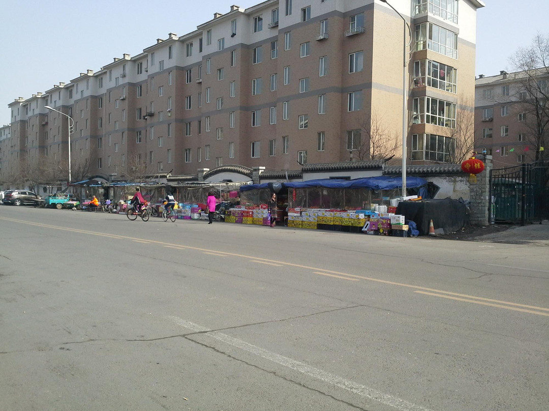 托克托县酒店住宿-邦迪假日酒店