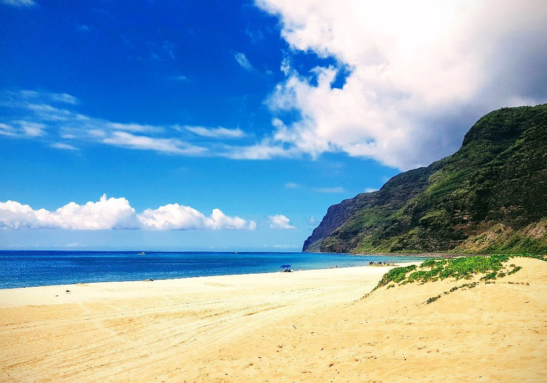 Polihale State Park景点图片