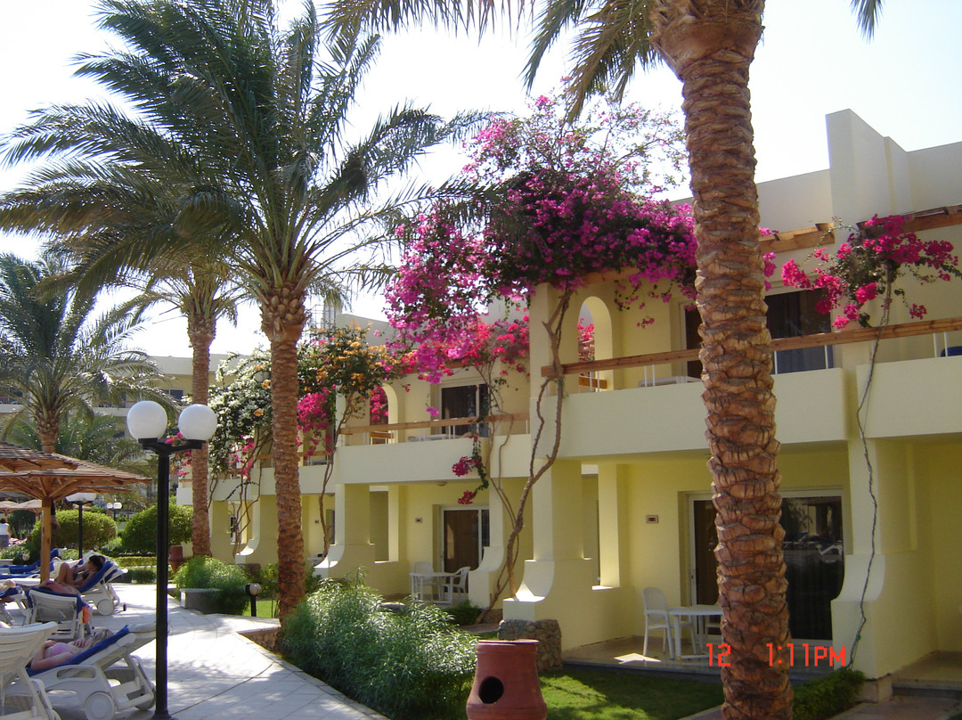 Second Hurghada酒店住宿-Palm Beach Resort