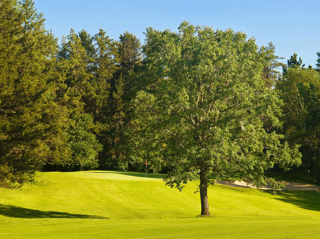 Whitebirch Golf Course景点图片