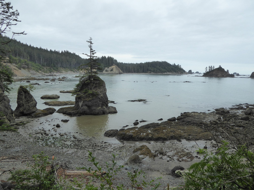 South Coast Trail-奥林匹克国家公园必去景点