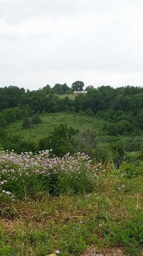 Weggy Winery-Muscoda必去景点