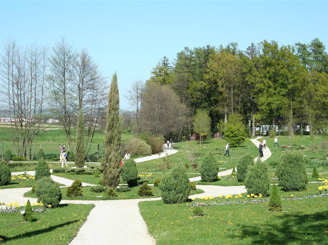 Botanical Garden Of University Of Maribor景点图片