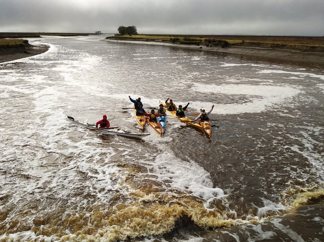 Limosa Kayak Expediciones景点图片