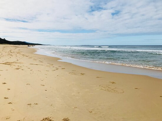 Davis Creek Beach景点图片