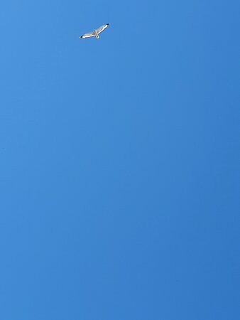 Instapuglia-马丁纳弗兰卡必去景点