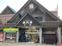 Showa Shinzan Kumabokujo-壮瞥町必去景点