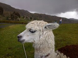 Laguna Wilcacocha-瓦拉斯必去景点