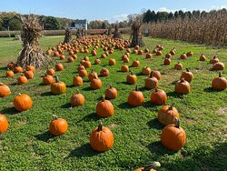 Filasky's Produce-Middletown必去景点