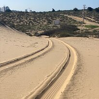 Nitsanim Dunes Nature Reserve景点图片