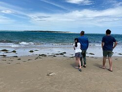 Venus Bay No. 1 Beach-Venus Bay必去景点