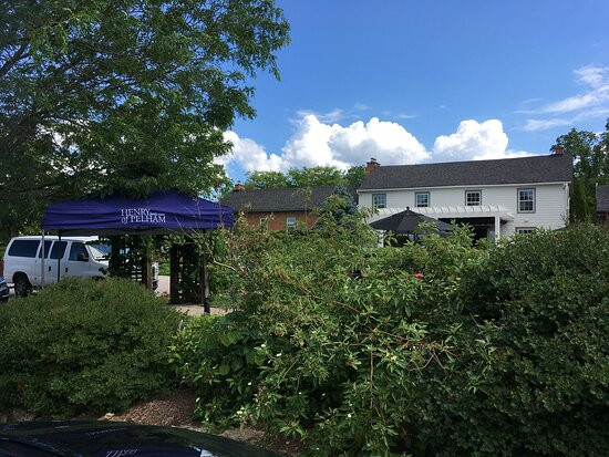 Henry of Pelham Family Estate Winery-圣凯瑟琳斯必去景点