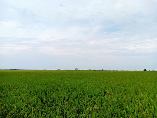 Ah Ma House-适耕庄必去景点