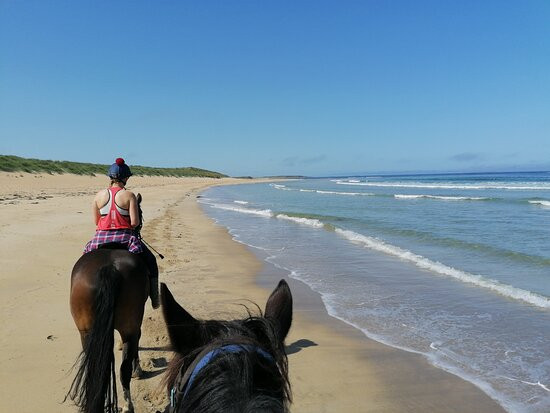 Island View Riding Stables景点图片