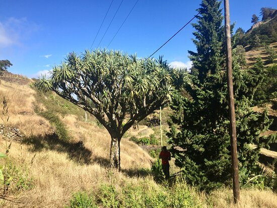 Ecolodge Cap Vert San Antao Kasa D'igreja Hébergement主图