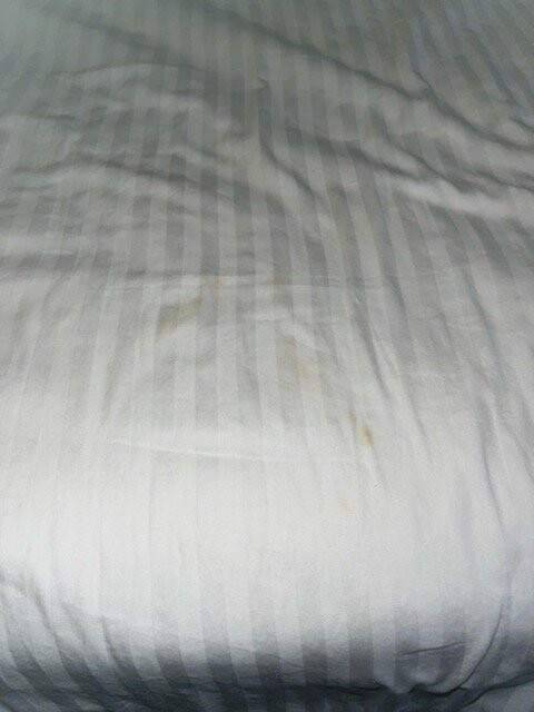 Best Western Okmulgee主图