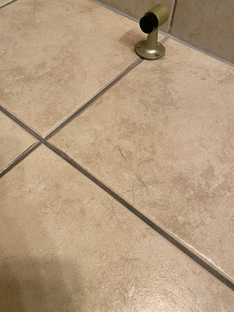 Best Western Plus Country Park Hotel主图