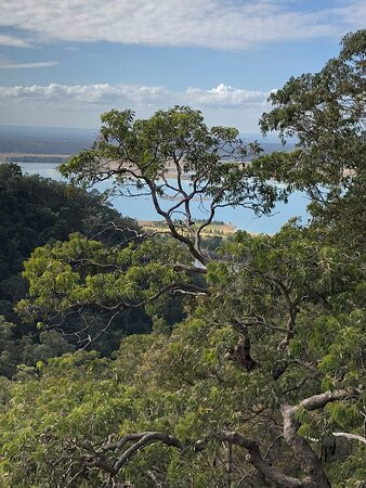 Mount Riverview Fire Trail景点图片