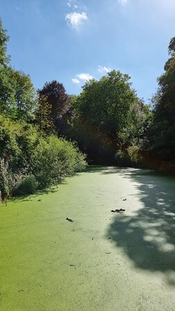 Parc de la Citadelle-里尔必去景点