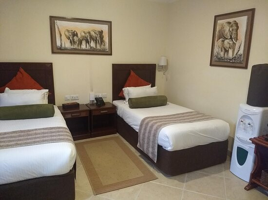 非洲郁金香宾馆主图