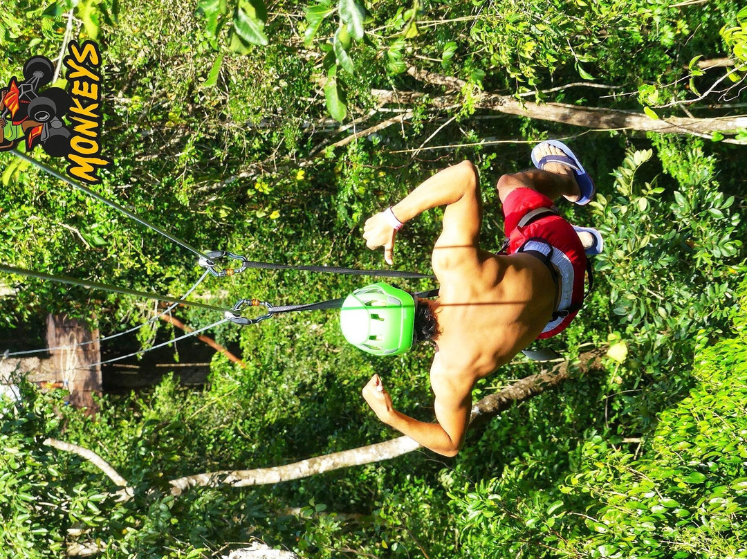 Monkeys Atvs Cancun-从莫雷洛斯港必去景点