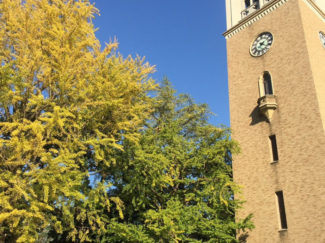 Waseda University景点图片