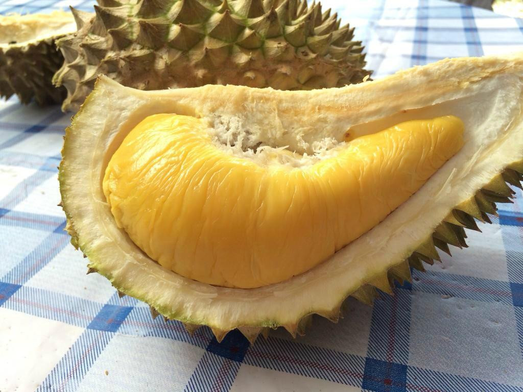 Jimmy's Durian Orchard景点图片