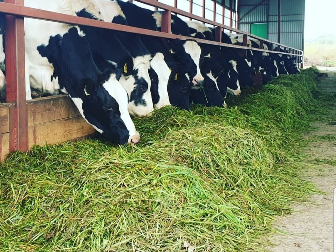 Mishnevo Farm-Mishnevo必去景点