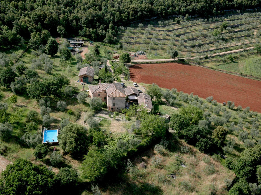 Bioagriturismo Podere Ficareto