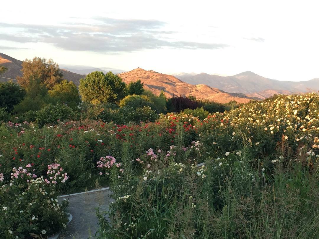 Woodlake旅游攻略图片