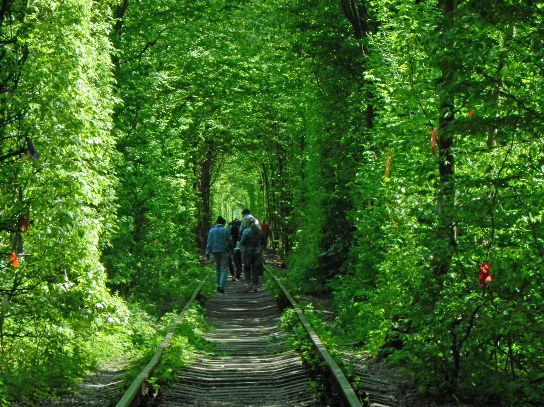 Tunnel of Love景点图片