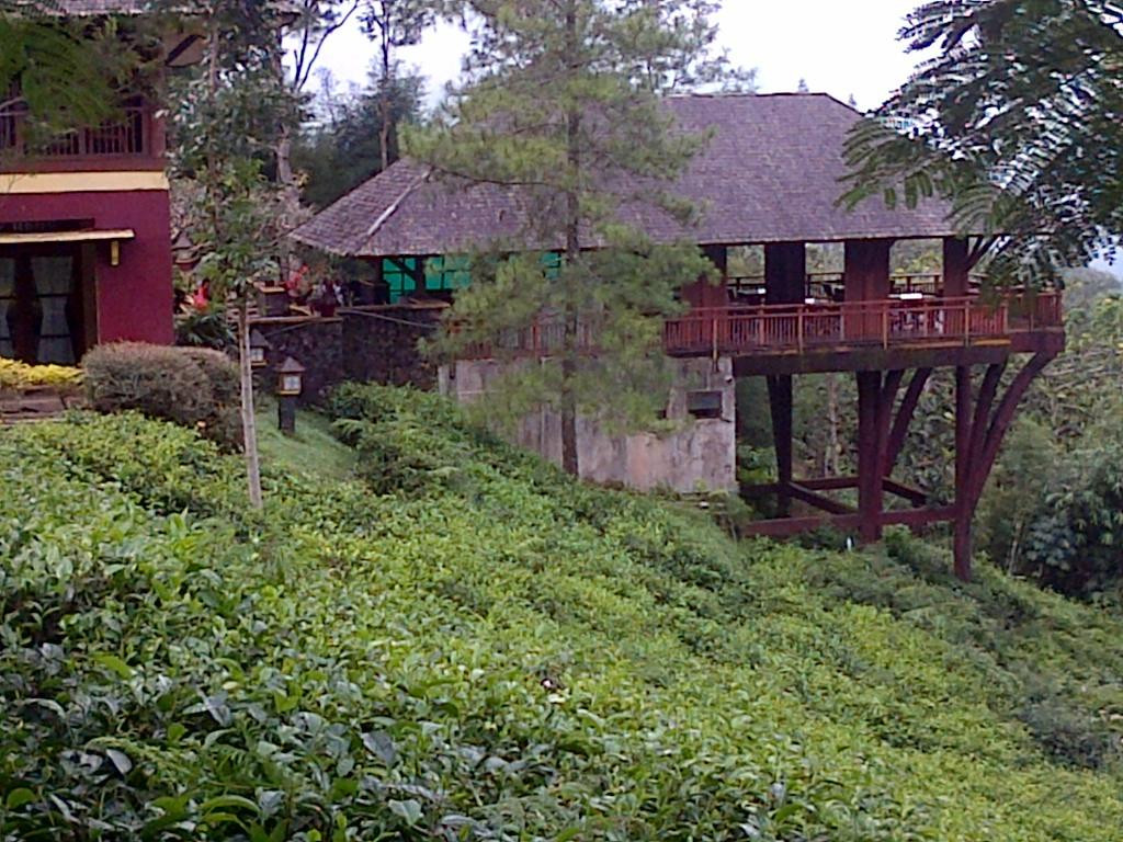 Lawang旅游攻略图片