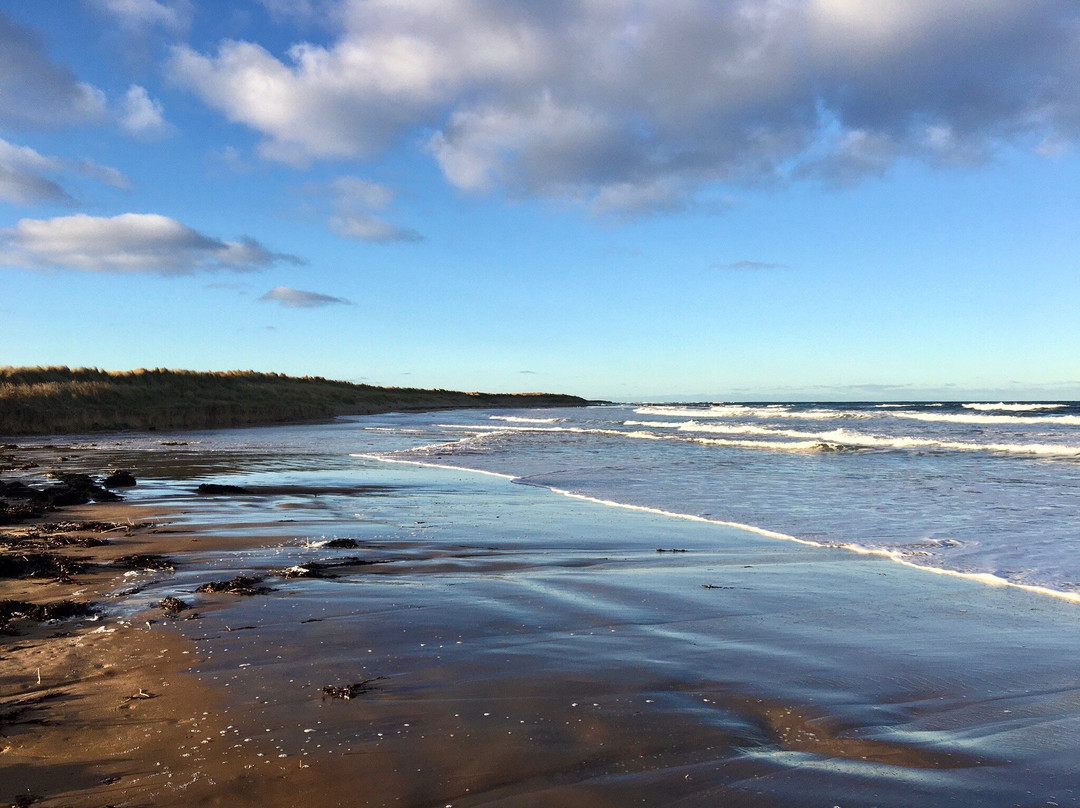 St Combs旅游攻略图片