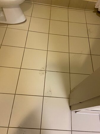 北棕榈滩海景智选假日酒店-浴室