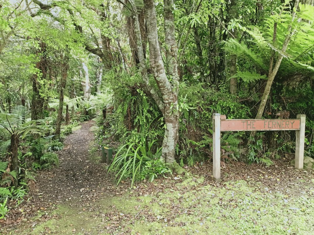 Moturau Moana Native Gardens景点图片