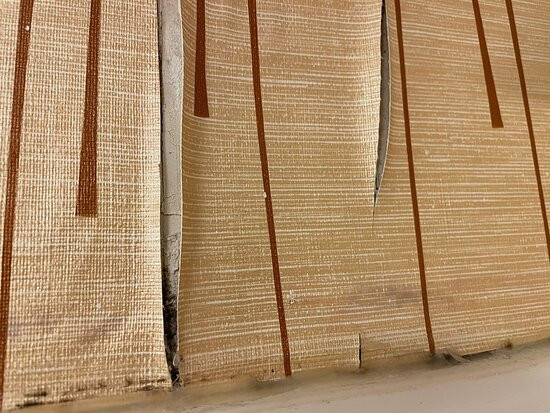 Holiday Inn Express & Suites Bowling Green By IHG主图