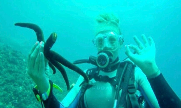 Buceo Valencia-La Pobla de Farnals必去景点