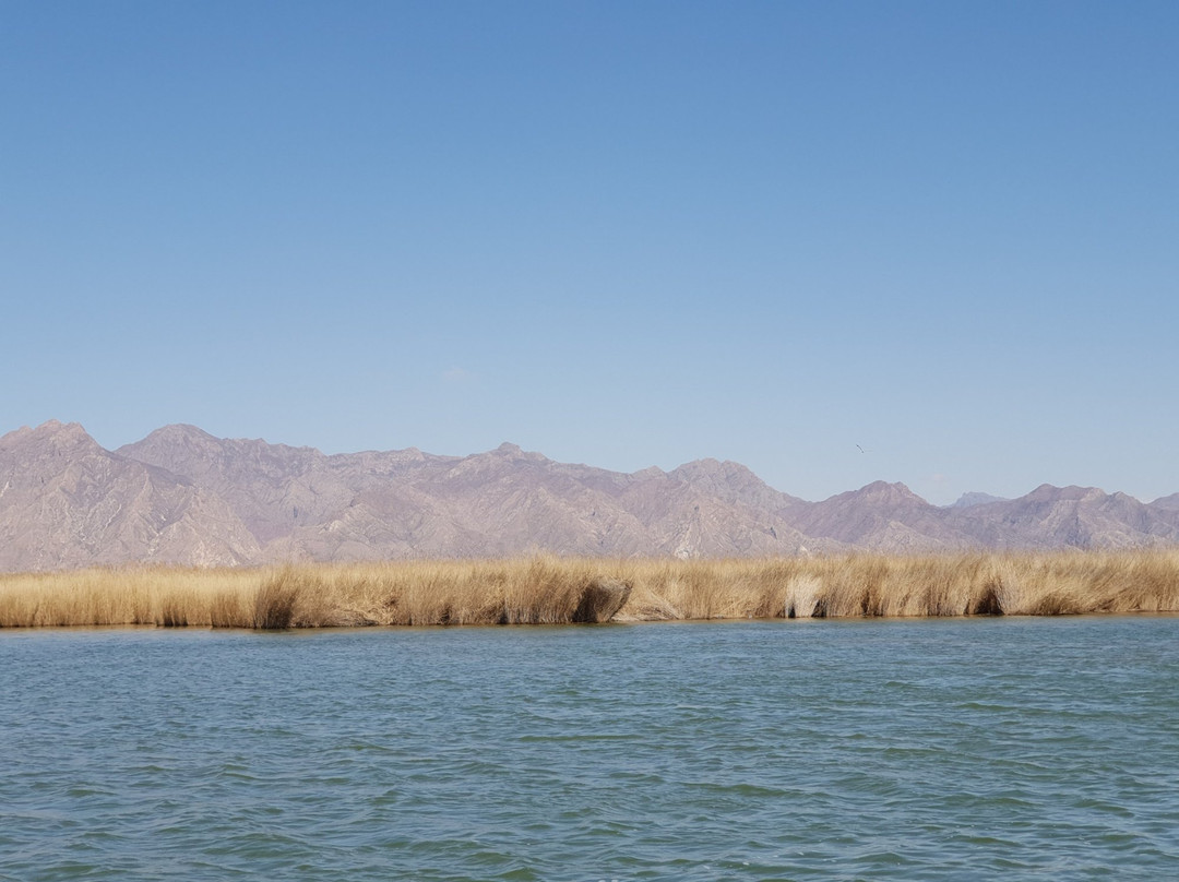 托克托县旅游景点-哈素海