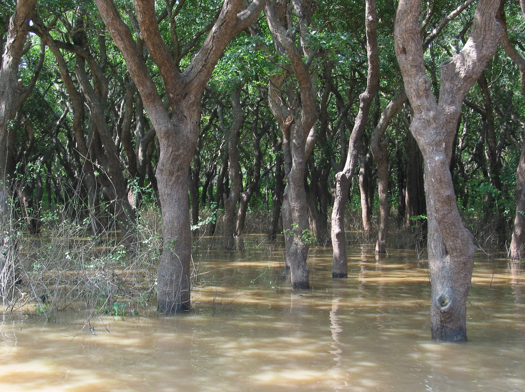 空邦鲁-暹粒必去景点