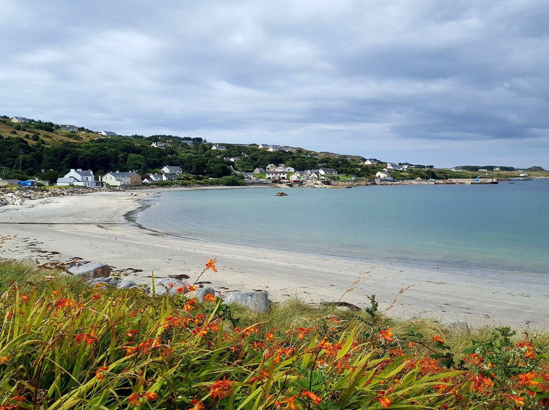 Burtonport旅游攻略图片