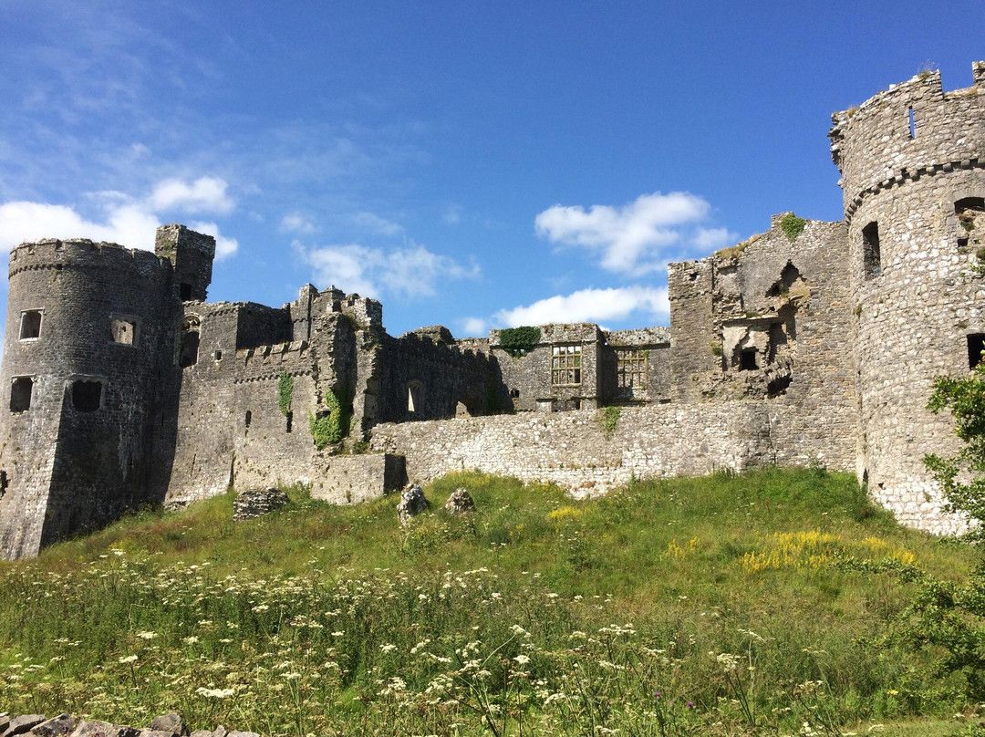 Carew旅游攻略图片