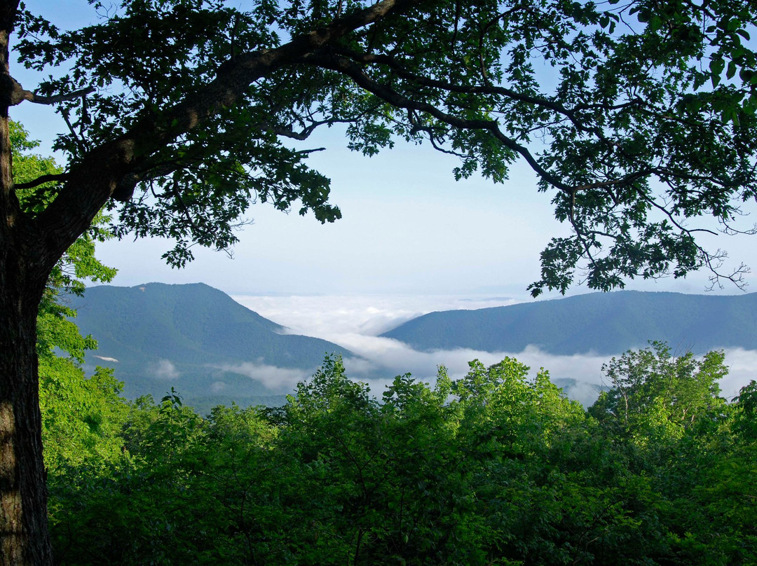 Lewisburg旅游攻略图片