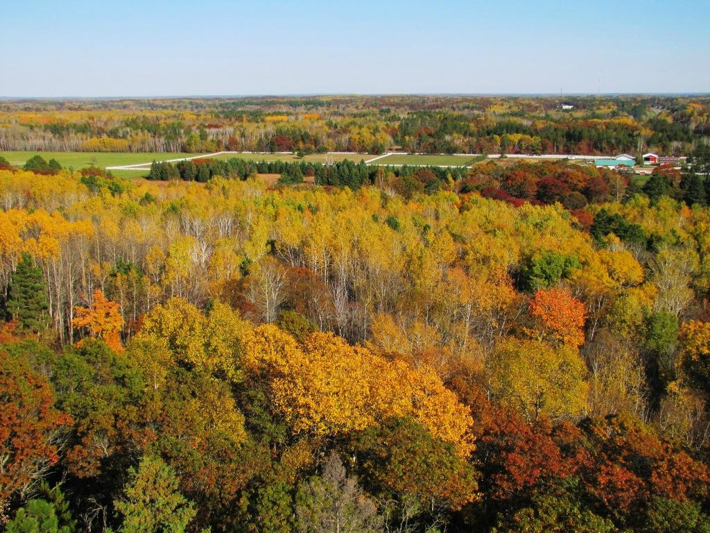 Pequot Lakes旅游攻略图片