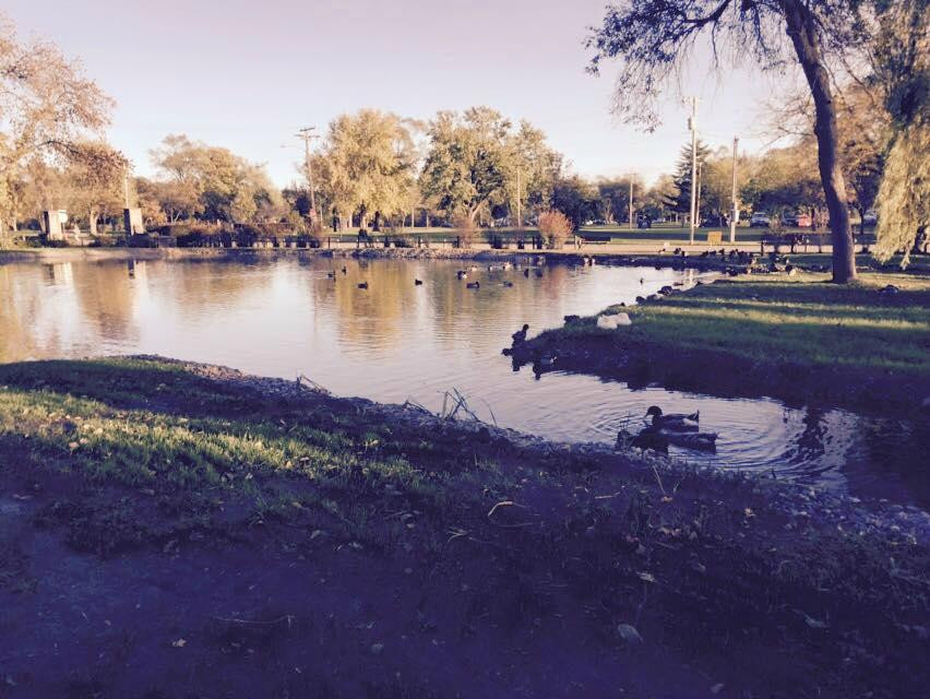 普雷里德欣旅游攻略图片