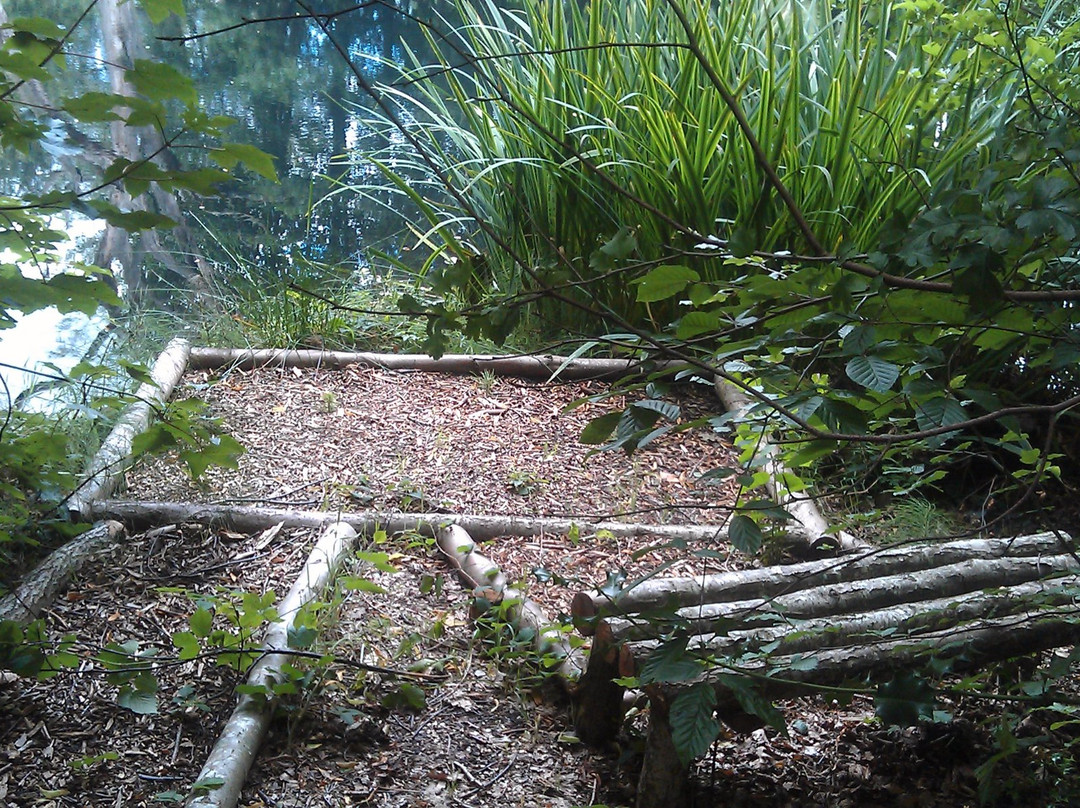 Wassell Grove Fisheries景点图片
