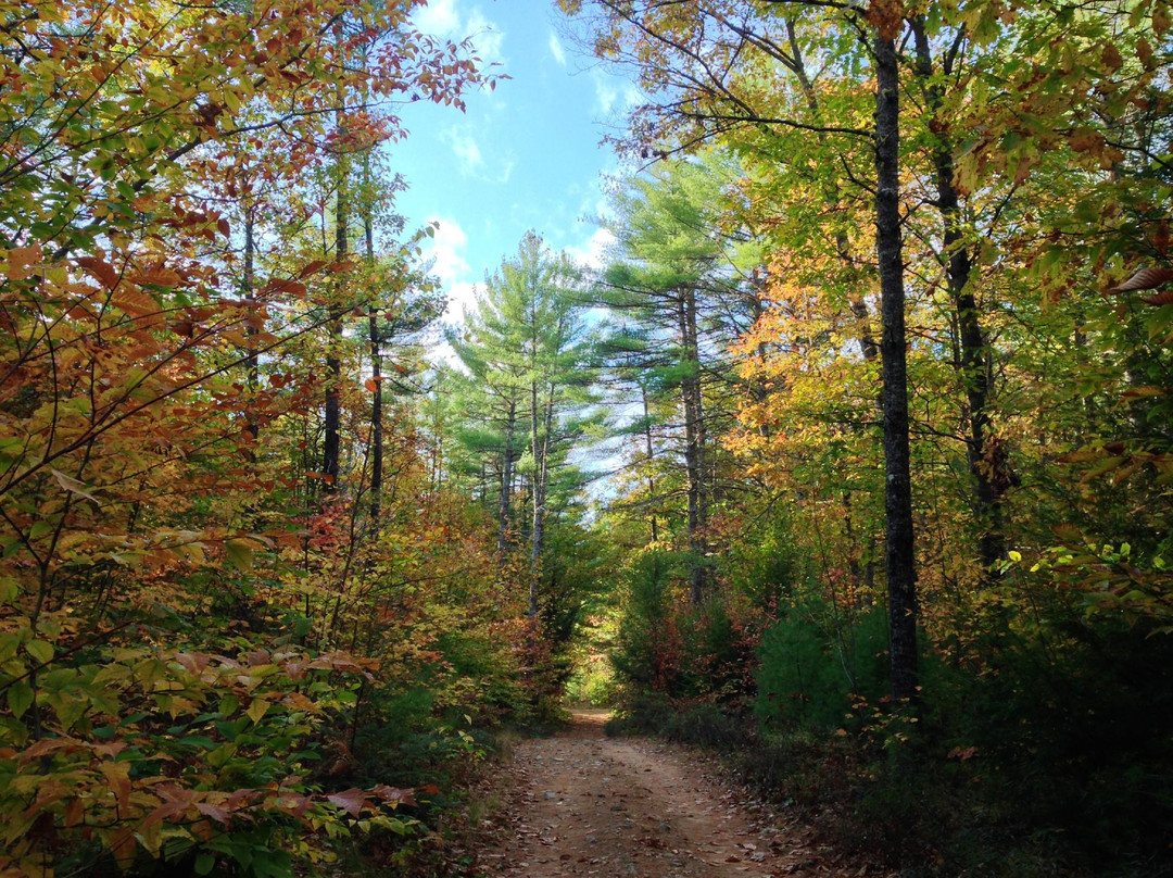 Back Country Excursions-Parsonsfield必去景点