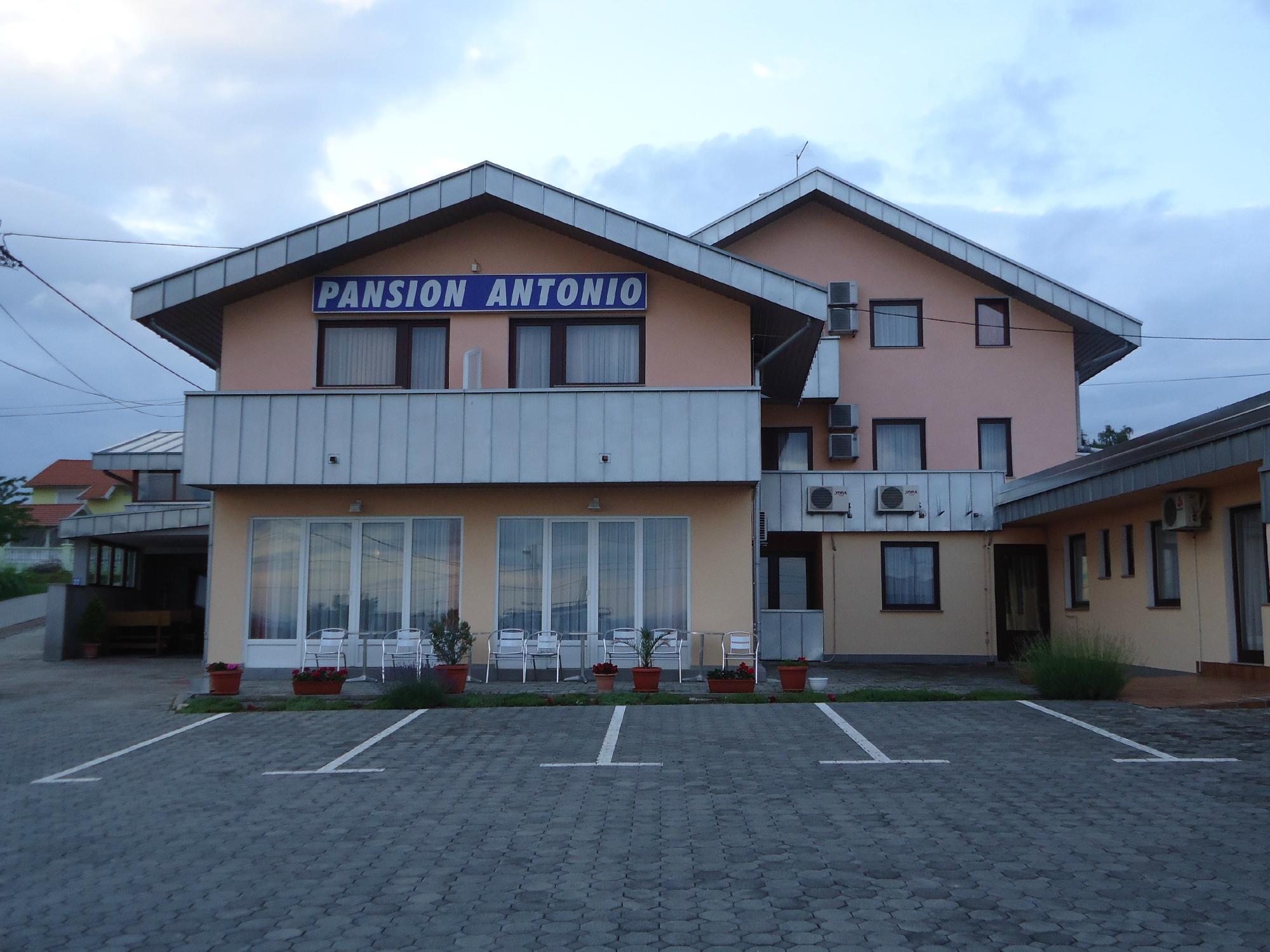 Pansion Antonio-官方