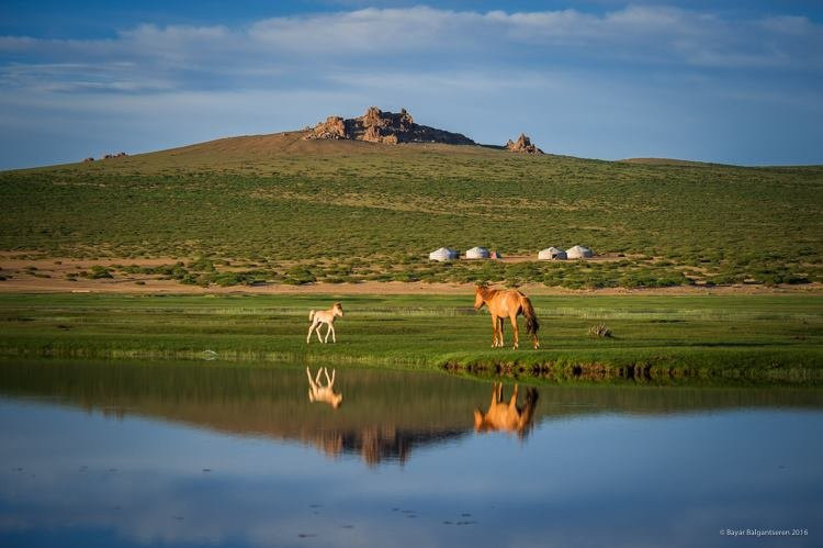 Discover Mongolia Travel-乌兰巴托必去景点